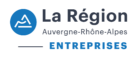 logo agence ara entreprises